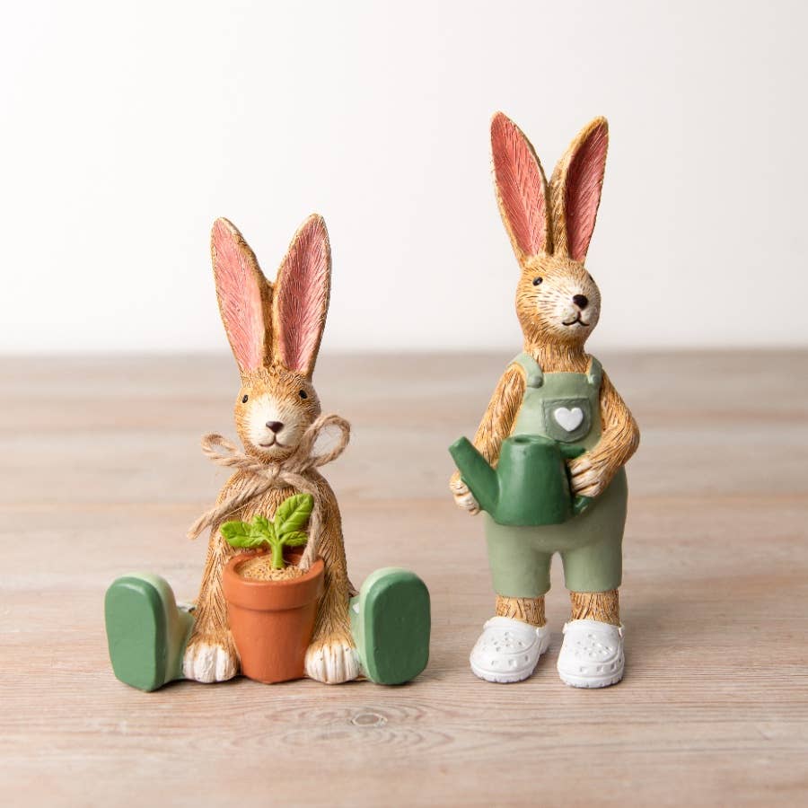 Jasper Rabbit House Plant, 12cm