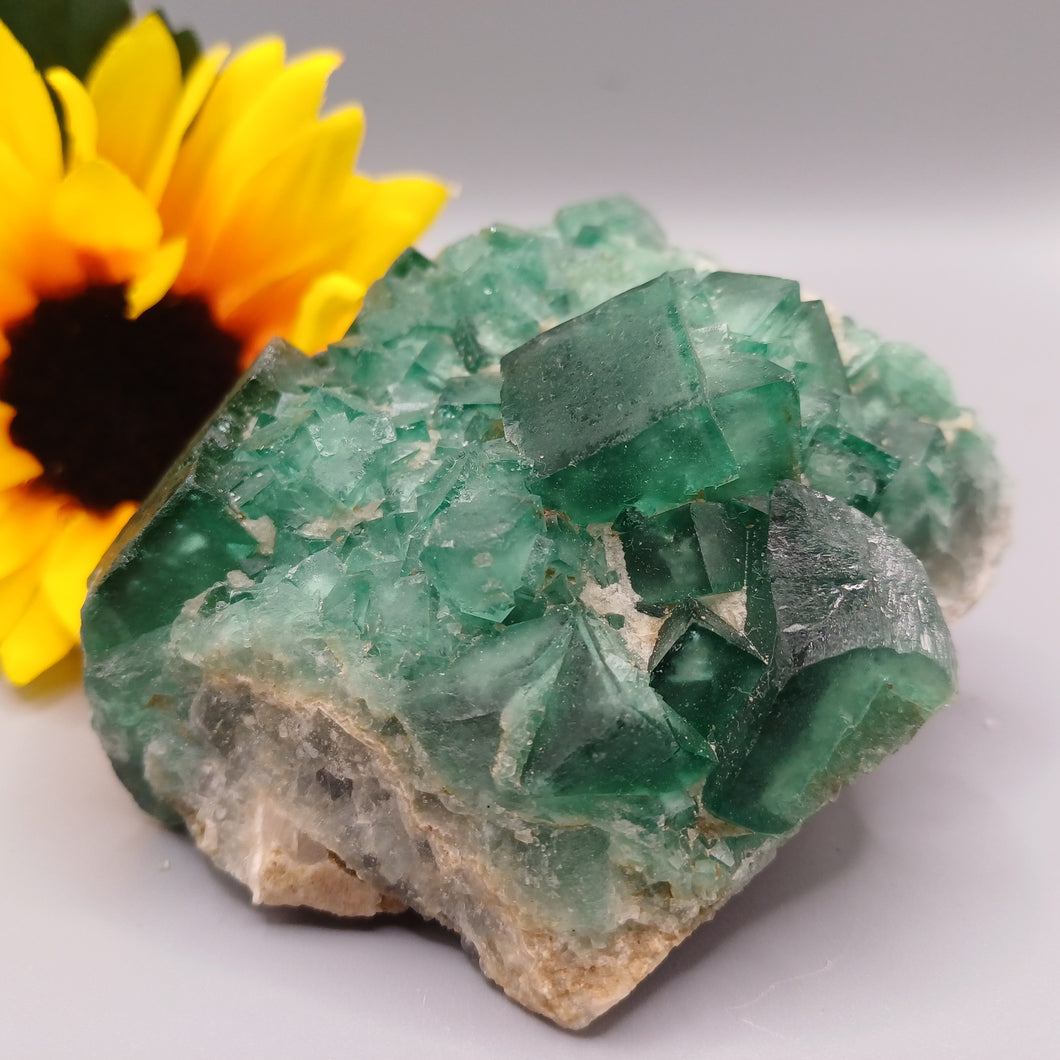 Rainbow Fluorite