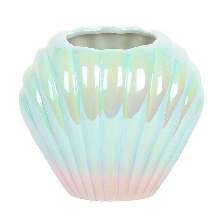 Iridescent Clam Shell Coastal Flower Vase