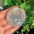 Pegasus in Moonstone