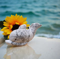 Howlite Dolphin