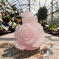 Rose Quartz Peony