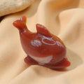 Carnelian Dolphin